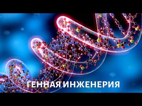 Видео: Редактирование ГЕНОВ. Имеем ли мы право менять людей?