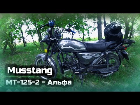 Видео: Мой новый мотоцикл - Musstang MT-125-2 - Альфа
