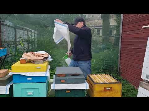 Видео: 📘 Лечение варроатоза пчел в момент постановки магазина 📘