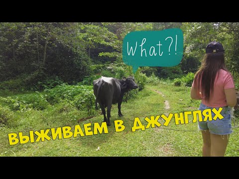 Видео: Jungle Village hotel | Шри-Ланка | 2022 | 2023 | Пляж Джангл + пляж Унаватуна | Jungle + Unawatuna