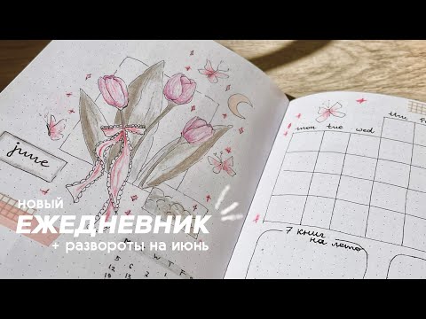 Видео: новый ежедневник | заполнение разворотов + развороты на ИЮНЬ | bullet journal set up