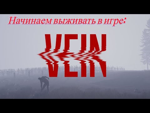Видео: Начинаем выживать в игре VEIN