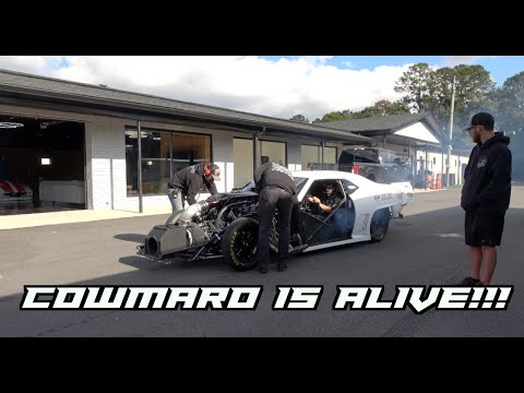 Видео: COWMARO Promod ЗАЖЖЕН!!