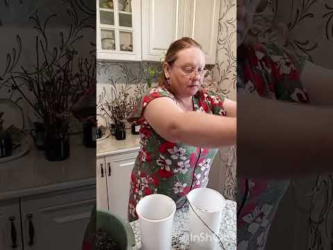Видео: 10 апреля 2025 г.