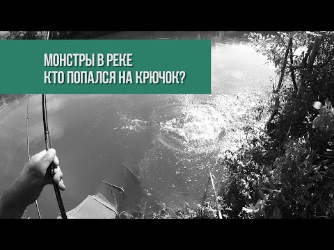 Видео: ТРАВОЯДНЫЕ МОНСТРЫ ХОПРА. Кто они?