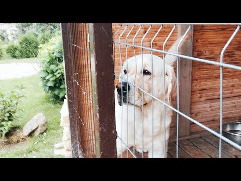 Видео: Три истории