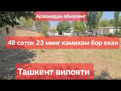 Видео: АРЗОНИ ФАКАТ СИЛАР УЧУН ХОНАДОН СОТИЛАДИ 48 соток хужаттда яна 8 соток купили билан