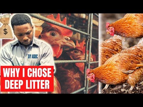 Видео: Система глубокого наполнителя против клетки-аккумулятора | ПОЧЕМУ Я ВЫБРАЛА ГЛУБОКИЙ НАПОЛНИТЕЛЬ