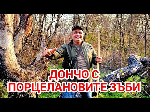 Видео: Зъби от порцеланова чиния? Дончо пушкалото си намери мястото в живота! 