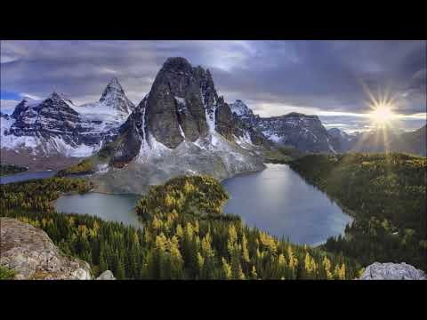 Видео: Почему жизнь полна борьбы [Н. Махарадж]