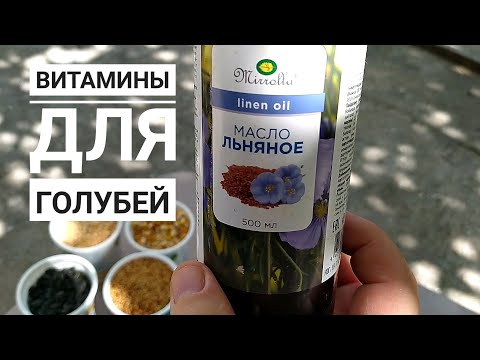 Видео: Витамины для голубей. Бойные голуби. 03.09.21 Грузия .Тбилиси
