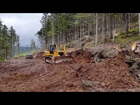 Видео: Бульдозер SEM 816 в работе (дорога в лес)