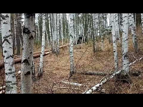 Видео: Так и хочет УПАСТЬ на бок   т-150 сила лебедки не хватает