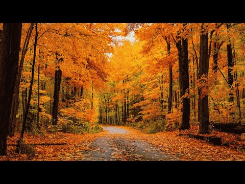Видео: Осень - Красивая музыка для души! Самая красивая мелодия на свете! Мелодия осени! Песня ОСЕНЬ