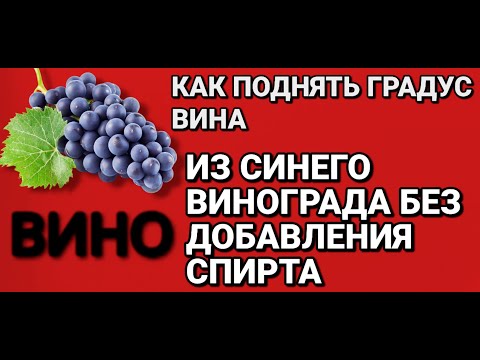 Видео: КАК ПОДНЯТЬ ГРАДУС В ДОМАШНЕМ вине из синего винограда . СНИМАЕМ ВИНО С ОСАДКА