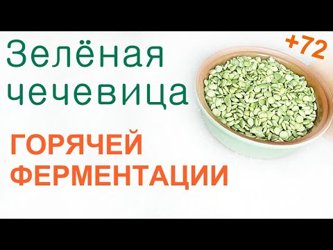 Видео: Горячее ферментирование зеленой чечевицы.