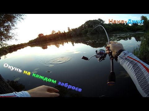 Видео: Лучшая рыбалка на Окуня Микро джиг Белгород