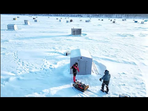 Видео: КТО ЖИВЕТ В ДОМАХ НА ЛЬДУ? рыбалка на рипуса