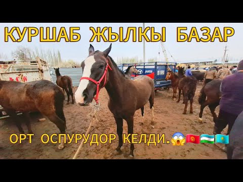 Видео: КУРШАБ ЖЫЛКЫ БАЗАРЫ.29.03.2025#памиртв #атбазар ##озгон #жылкыбазар#СЕГОДНЯ #куршаб #horse#РЕКЛАМА