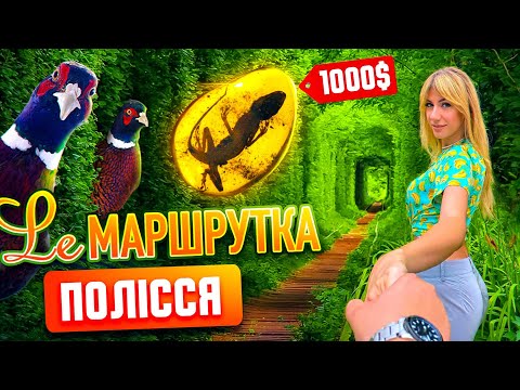 Видео: Ле Маршрутка. Полісся