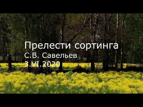 Видео: С.В. Савельев - Прелести сортинга