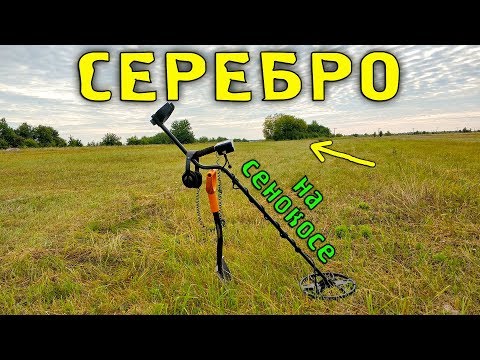 Видео: Коп на сенокосе и СЕРЕБРО. Коп с Квазар АРМ. #Коп #Квазар #КопUA