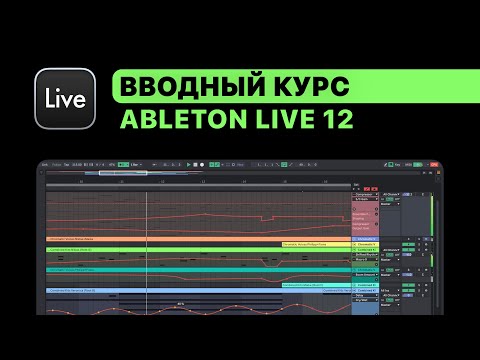 Видео: Вводный курс по Ableton Live 12. Настройки, подгон темпа, лееринг, обработка звука, мастеринг.