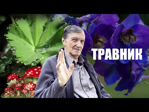 Видео: АЛХИМИЯ   СИЛА ТРАВЫ