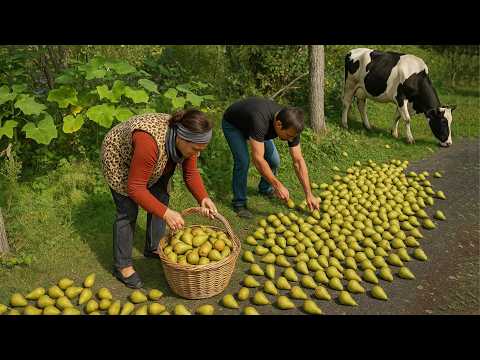 Видео: Выращивание и сбор груш – грушевый пирог, тающий во рту!