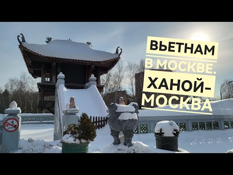 Видео: Пройдём с вами по ТЦ Ханой-Москва и удивимся