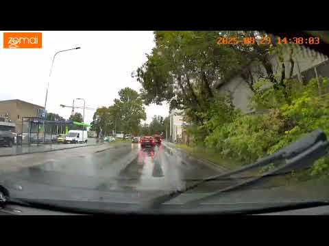 Видео: Философия мысли