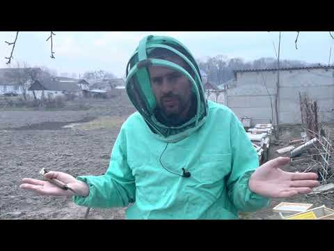 Видео: Замена дна сетки на глухое, осмотр  перезимовавших нуклеусов