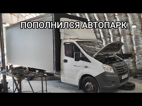 Видео: ПРИКУПИЛИ ЕЩЁ ОДНУ ГАЗЕЛЬ, КАКИЕ СЕЙЧАС ЦЕНЫ ?