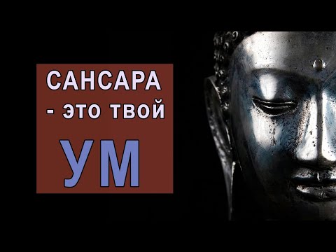 Видео: Колесо сансары: выход и реинкарнация. Просветление 2.0