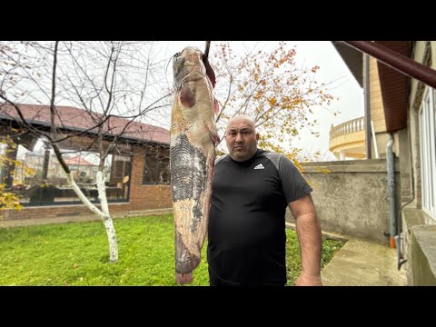 Видео: Приготовил Два Вкусных Блюда Из Огромной Рыбы !