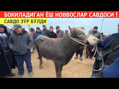 Видео: БОКИЛАДИГАН ЁШ НОВВОСЛАР САВДО ЗУ́Р БУ́ЛДИ ХОРАЗМ БОҒОТ МОЛ БОЗОРИ 13-НОЯБР !!! ХОРАЗМ БОЗОР