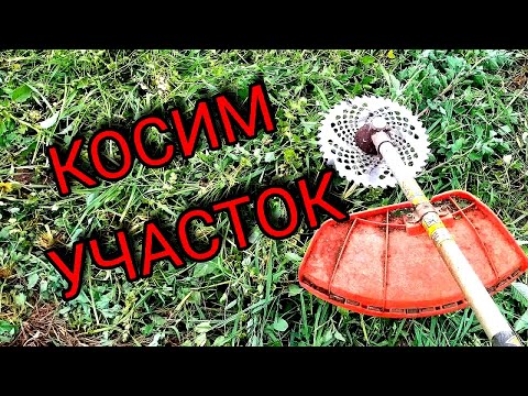 Видео: Косим заросший участок триммером.