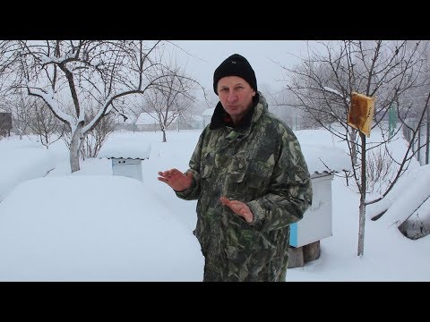 Видео: Зимовка пчел | Верхнее утепление улья