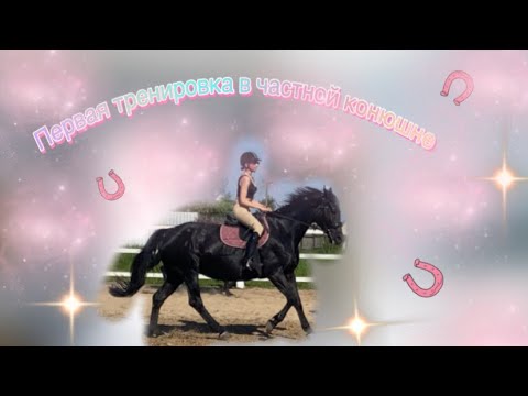 Видео: Тренировка на частной конюшне