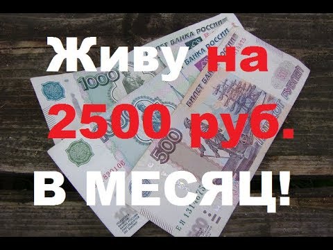 Видео: Как я живу на 2500 руб.в месяц .