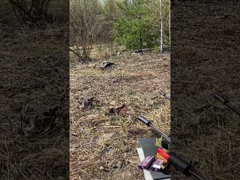 Видео: АТА Тurgua Synthetic Green 308 Win