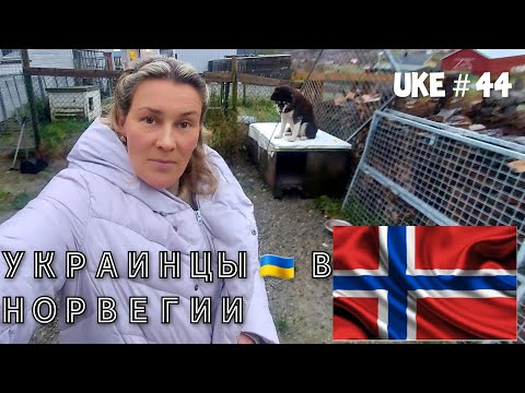 Видео: НОРВЕГИЯ,СЕГОДНЯ - 44 UKE  🇧🇻  ХРОНОМЕТРАЖ НАШЕЙ ЖИЗНИ / ПЕНСИОНЕРАМ ЗДЕСЬ ХОРОШО👍!!!