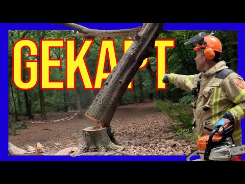 Видео: Поваленное дерево - ДОБРОВОЛЬЦЫ ГОЛЛАНДСКИЕ ПОЖАРНЫЕ -