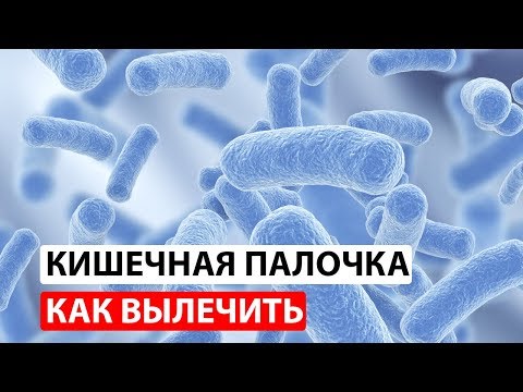 Видео: Кишечная палочка в анализах: лечение и профилактика