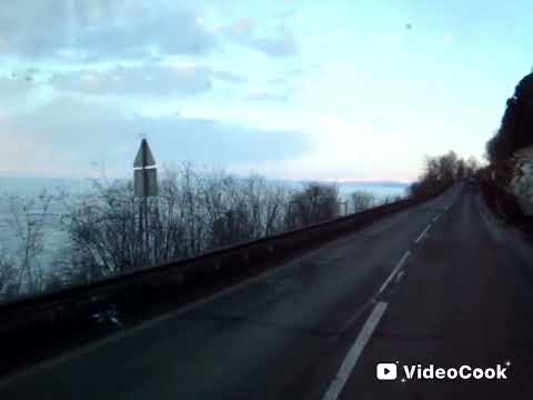 Видео: 23 октября 2025 г.