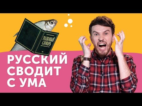 Видео: СТРАДАНИЯ ИНОСТРАНЦА:  почему русский язык такой сложный?