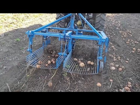 Видео: Саморобна картоплекопалка до міні трактора в роботі ,знову виручає...