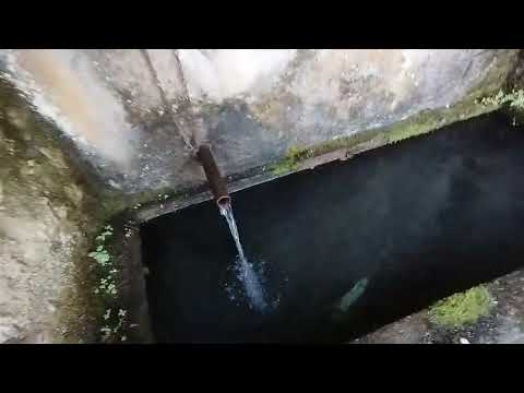 Видео: Лековитата студена вода в Студен кладенец