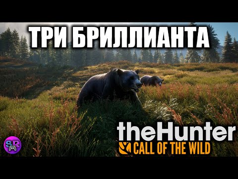 Видео: Три БРИЛЛИАНТА, ОХОТА ► theHunter: Call of the Wild [СТРИМ 2]
