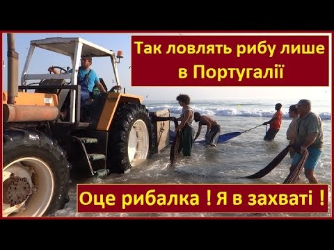 Видео: Риболовля на тракторах. Морська рибалка на сітку з берега в Атлантичному океані. Португалія